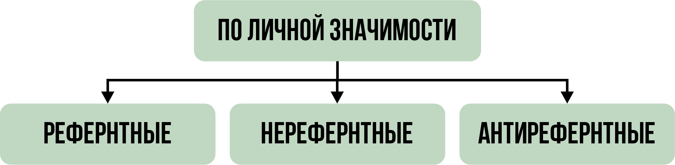 Классификация групп. Статус, взаимосвязи и значимость. Выпуск 3. | USIB 