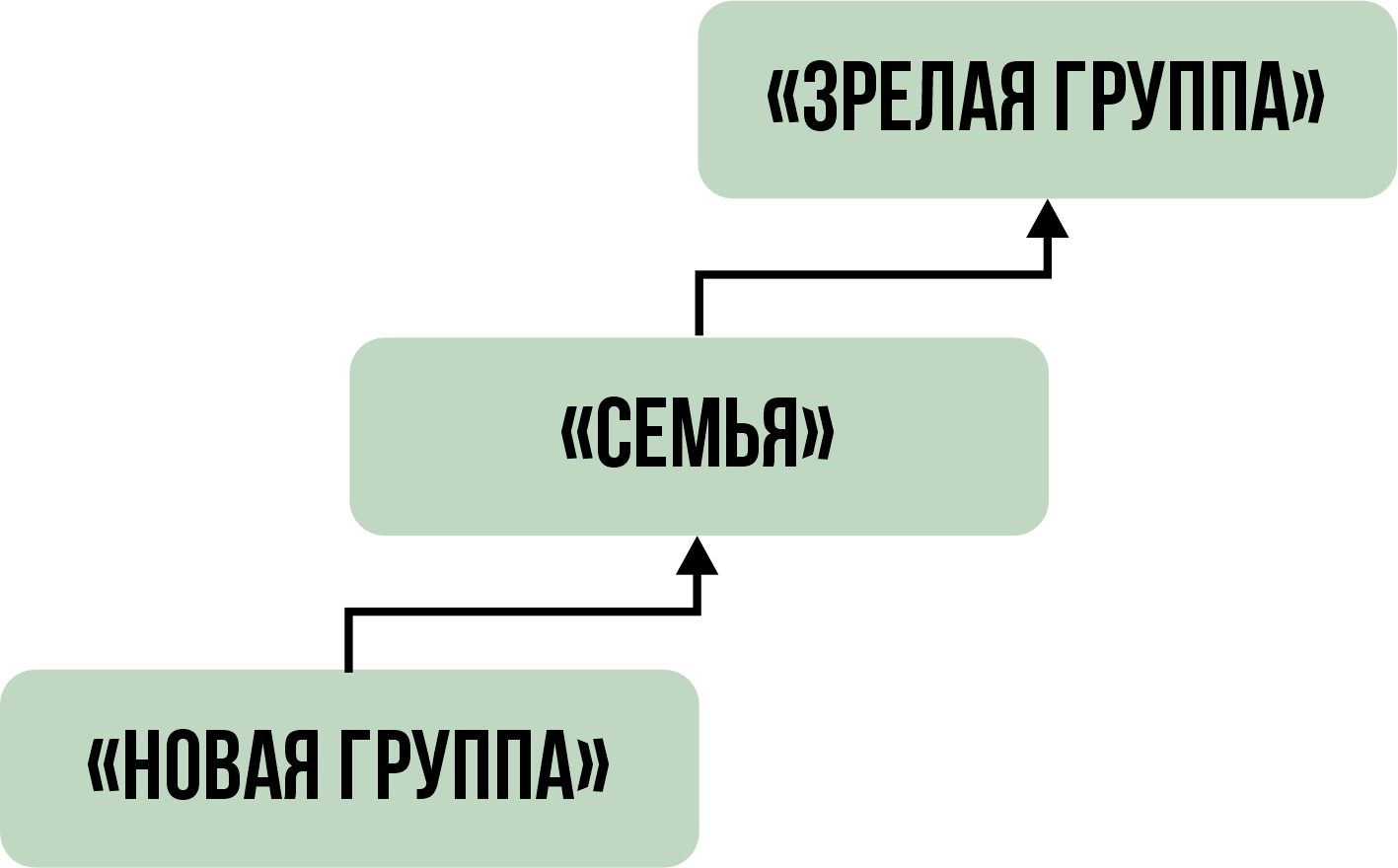 Классификация групп. Статус, взаимосвязи и значимость. Выпуск 3. | USIB 